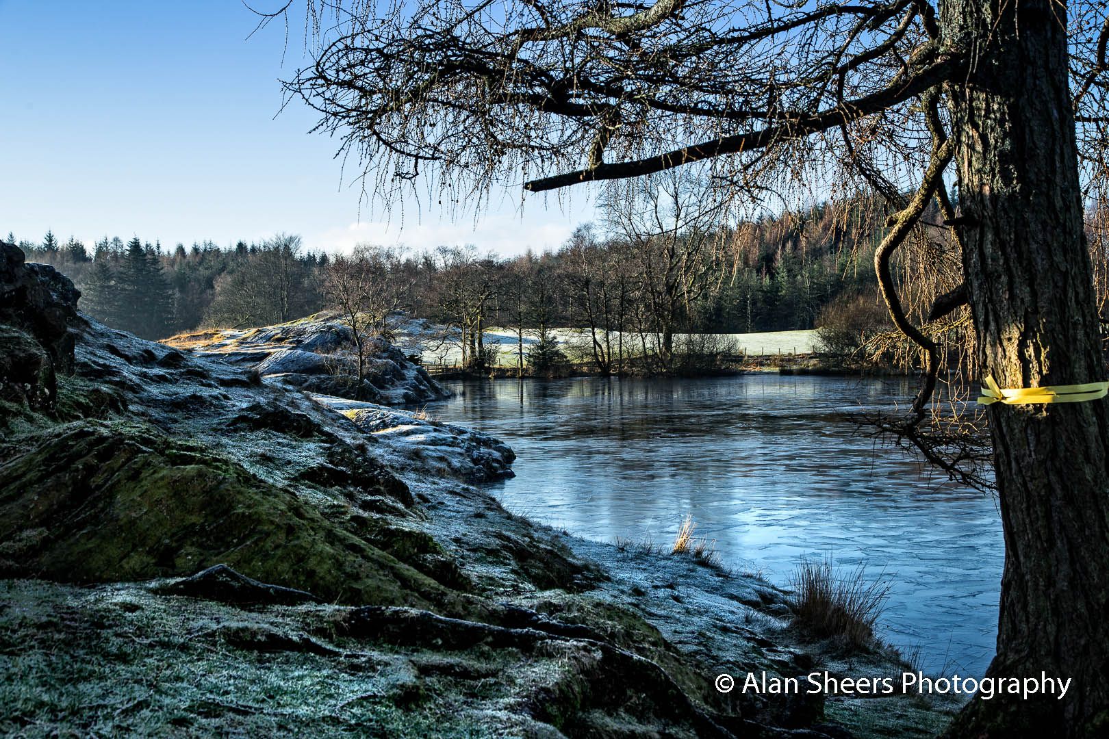 Moss Eccles Tarn