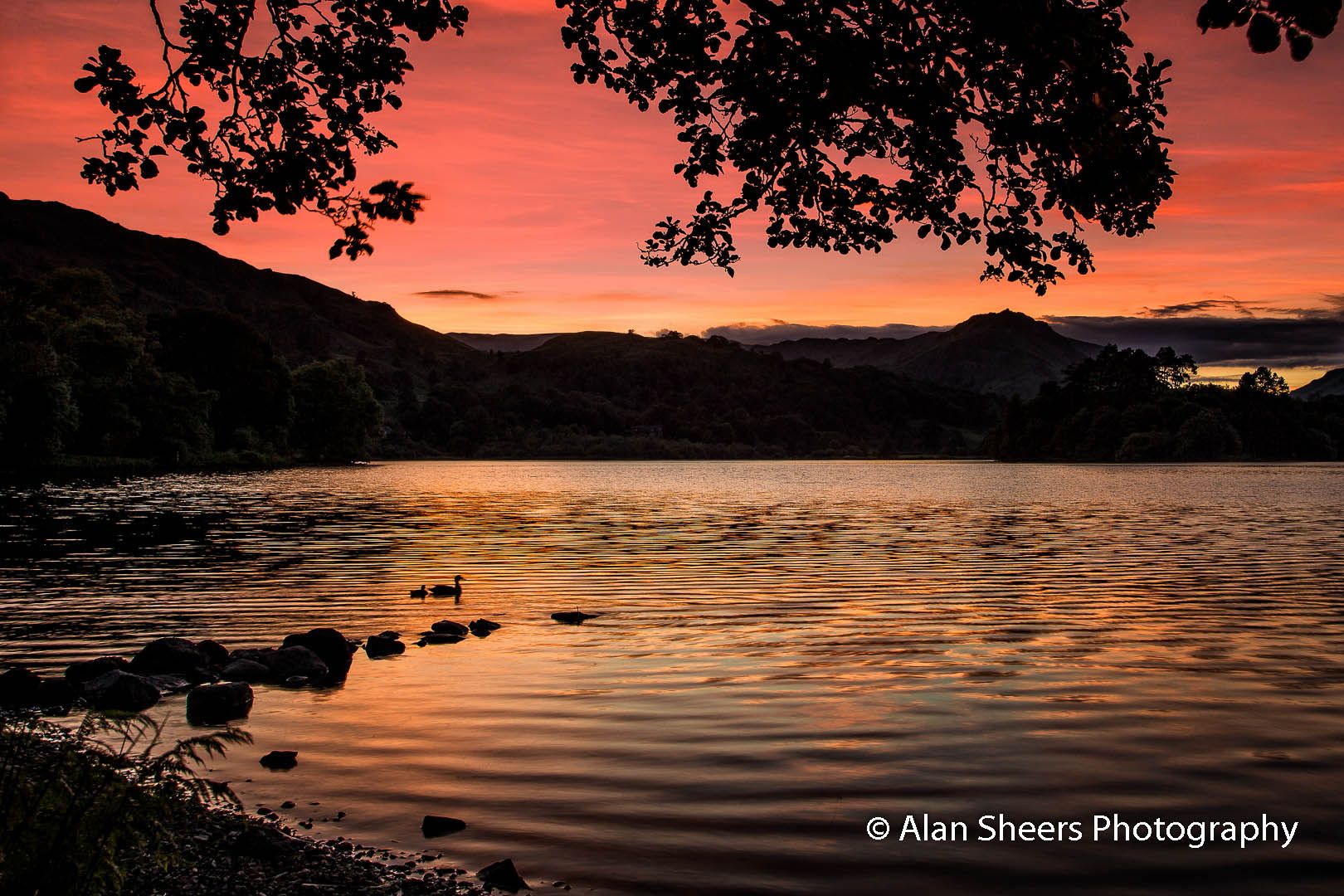Grasmere