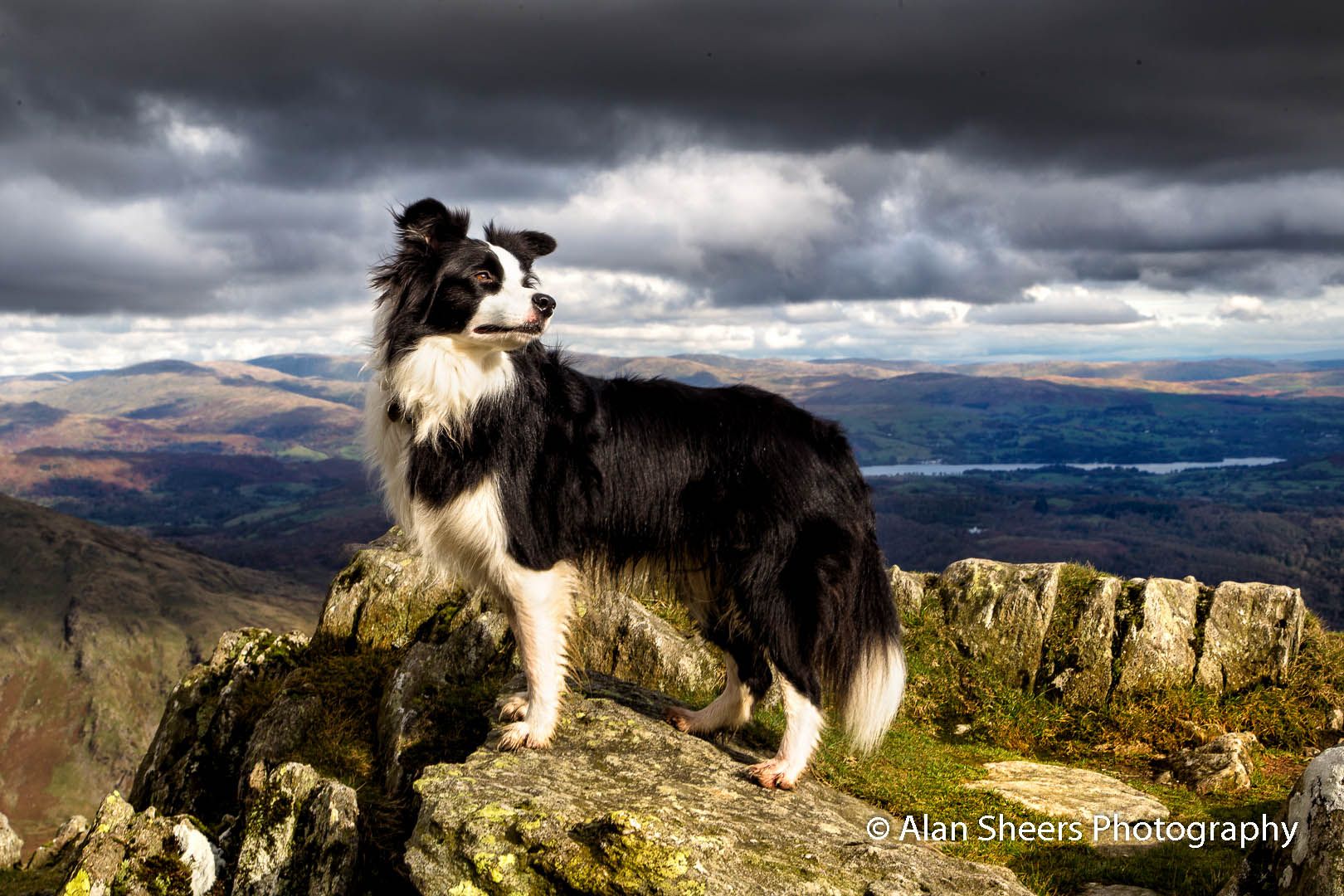 Poseur - Old Man of Coniston