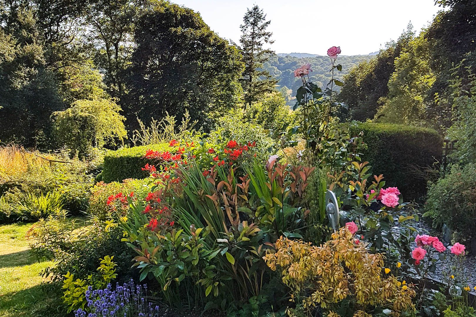 Brimstock Cottage Garden in full bloom