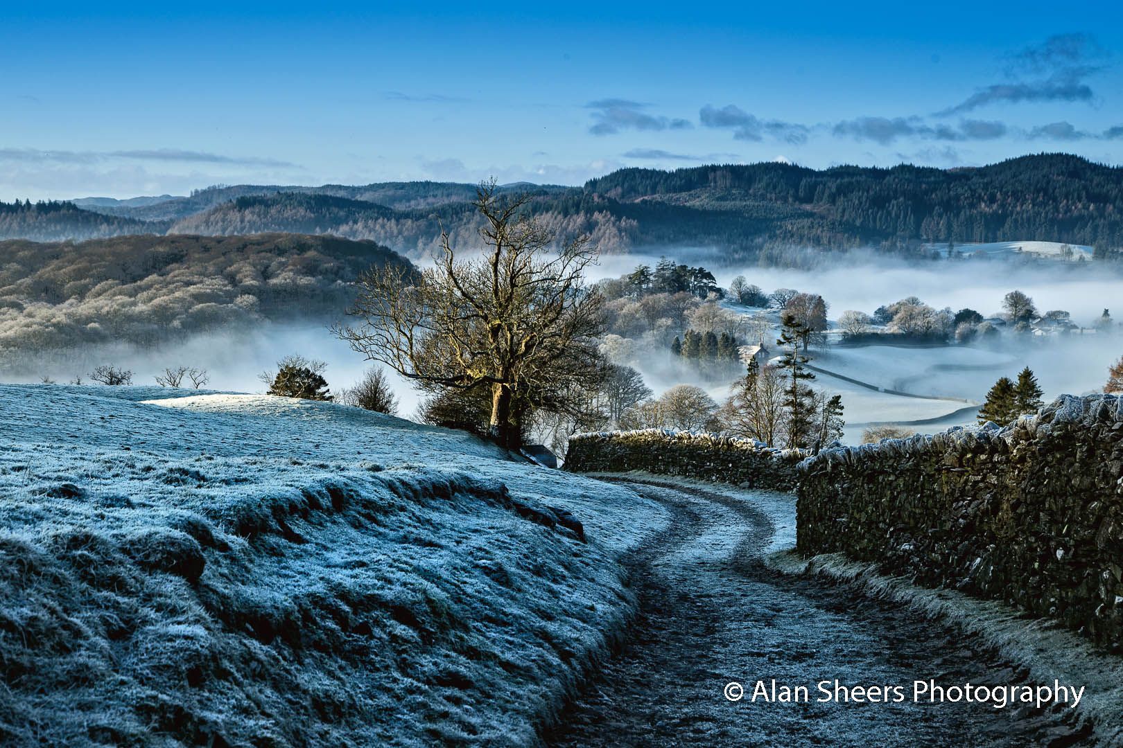 Frosty Far Sawrey