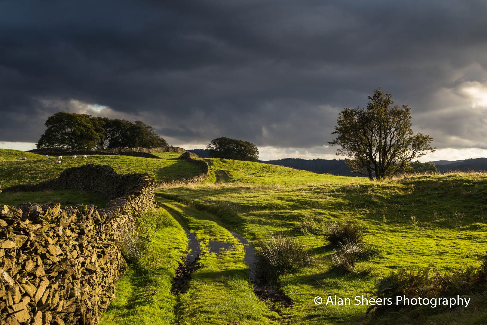 Path to Claiffe Heights